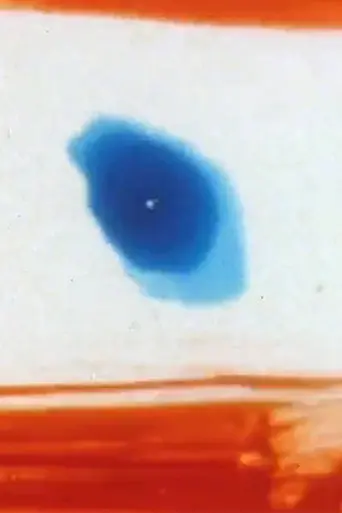 Movement (1997)