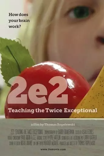 2e: Teaching The Twice Exceptional (2018)