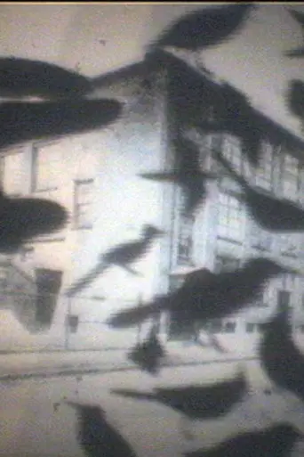 Curse Cures (2009)