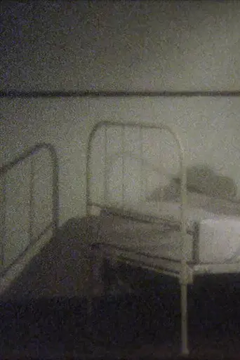 Getting into bed (2011)