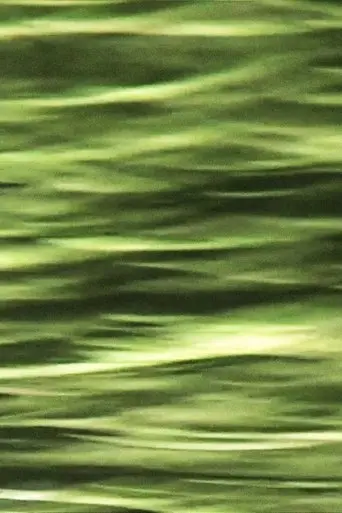 Reflections (2025)
