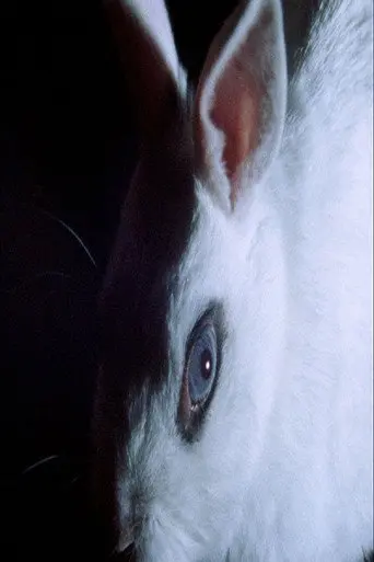 Cheshire Smile (2012)