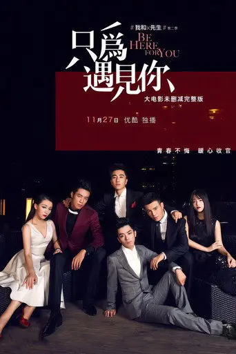 我和X先生：只为遇见你 (2015)