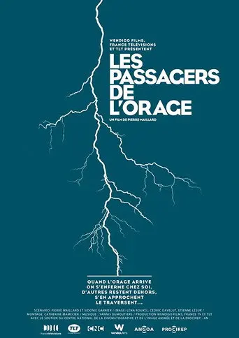Les passagers de l'orage (2014)