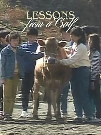 Lessons from a Calf (1991)