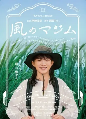 Kaze no majimu (2025)
