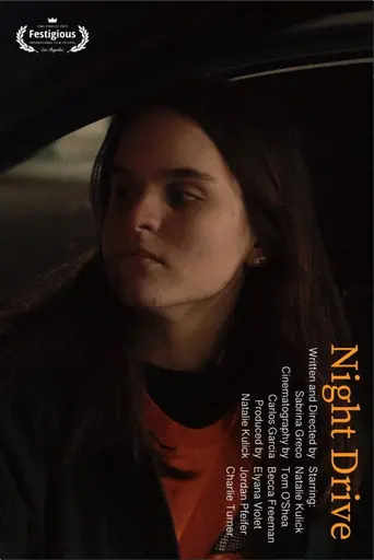 Night Drive (2020)