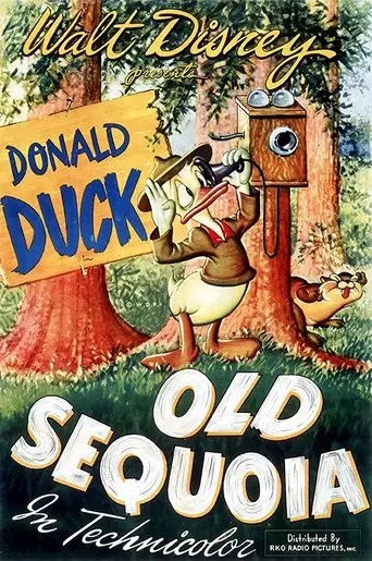 Old Sequoia (1945)