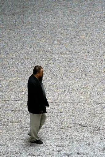 Ai Weiwei: Sunflower Seeds (2010)