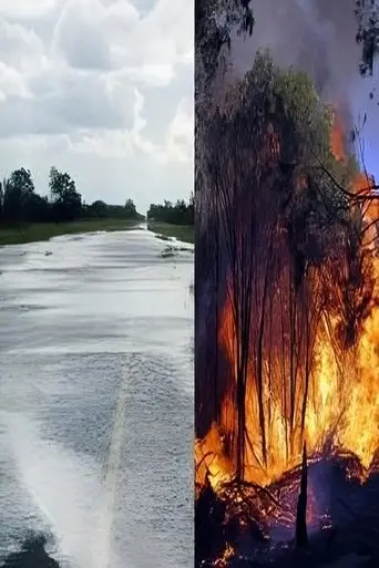 Patient Klima (2008)