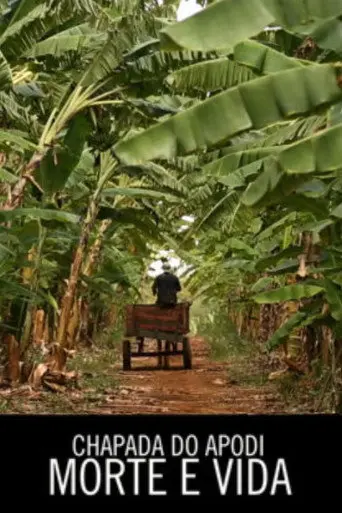 Chapada do Apodi, Morte e Vida (2013)
