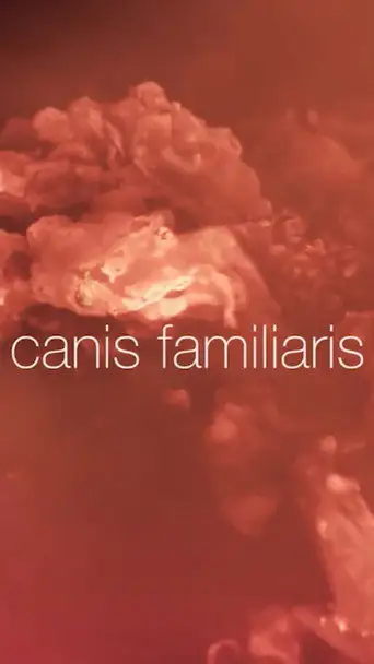 Canis familiaris (2017)