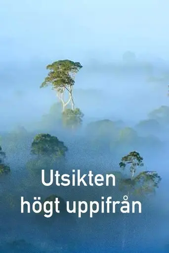 The View From on High (2024)