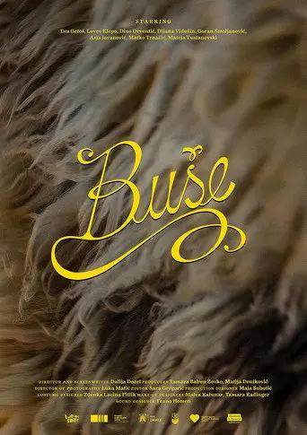 Bushe (2026)