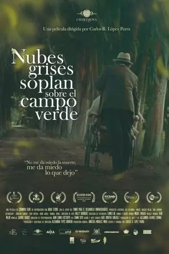 Nubes Grises Soplan Sobre El Campo Verde (2023)
