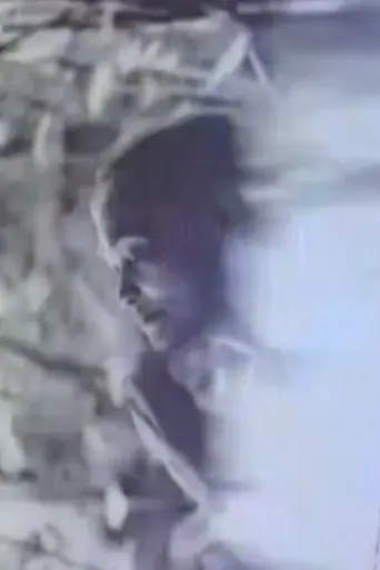 AGOSTO 9 (1994)