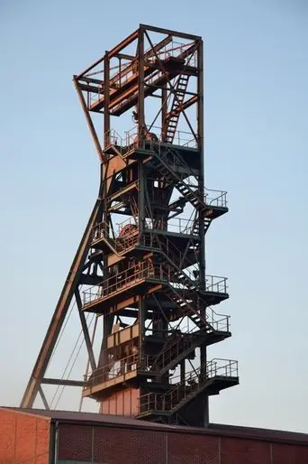 Bischofferode. Das Treuhand Trauma (2018)