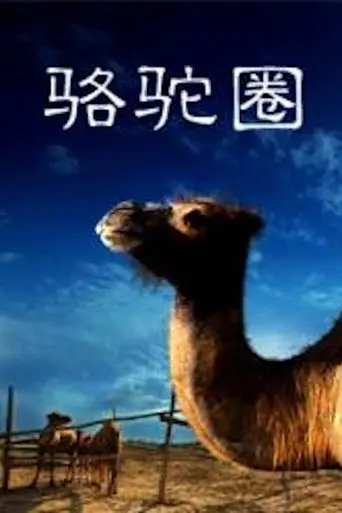 Camel Collar (2010)