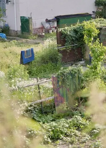 METZGERGRÜN (2023)