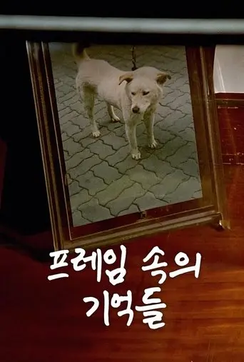 Memories In My Frame (1994)