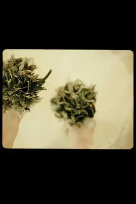 cum pane – the one you share your bread with (2002)