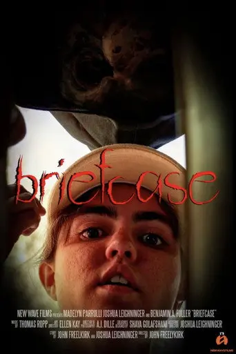 Briefcase (2025)