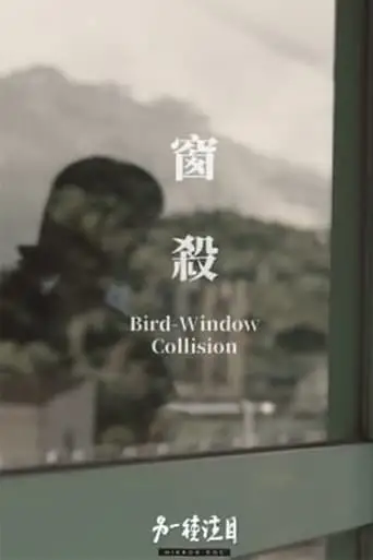 Bird-Window Collisions (2023)