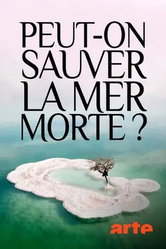 Peut-on sauver la mer Morte ? (2019)