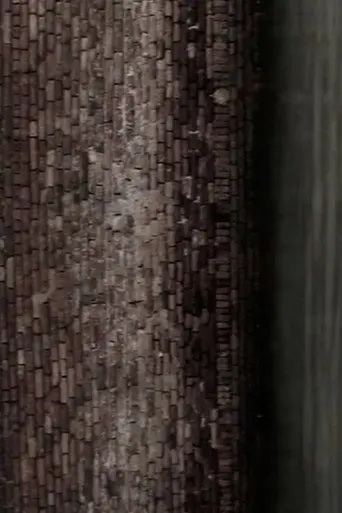 The Little White Doves (2011)