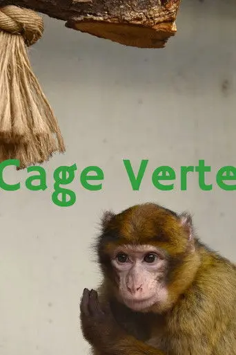 Cage Verte (2026)