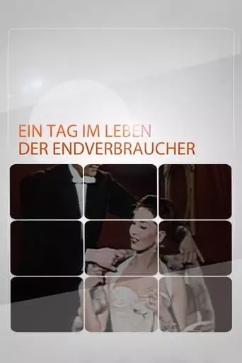 Ein Tag Im Leben Der Endverbraucher (1993)