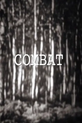 Combat (2015)