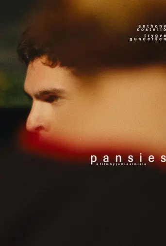 pansies (2025)