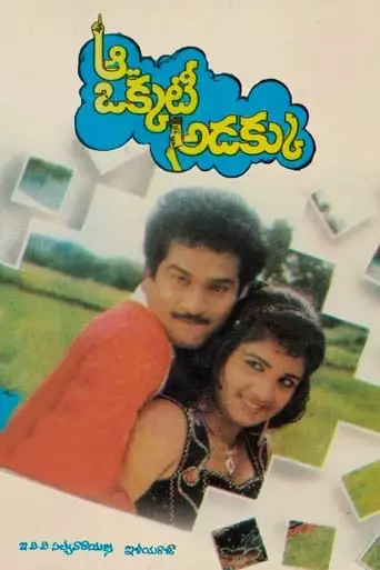 Aa Okkati Adakku (1992)