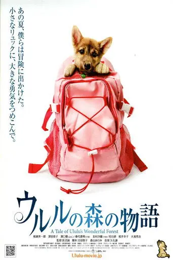 A Tale of Ululu's Wonderful Forest (2009)