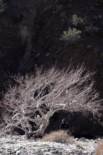 Paradise Springs (2013)