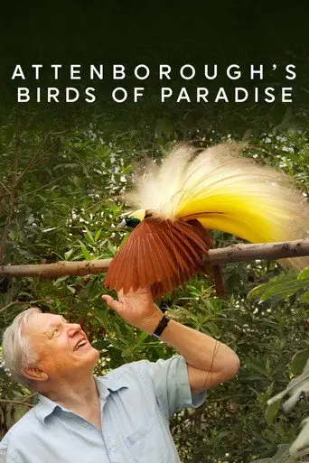 Birds of Paradise (2010)