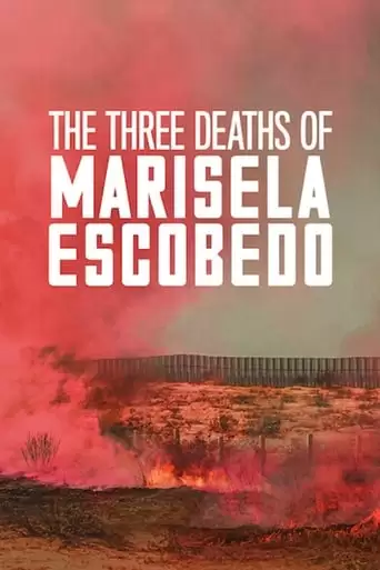 The Three Deaths Of Marisela Escobedo (2020)