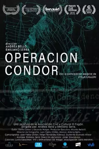 Condor Operation (2020)