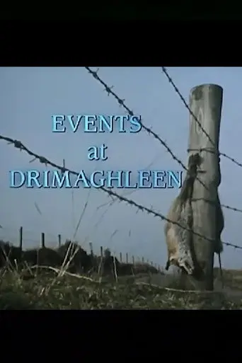 Events at Drimaghleen (1991)