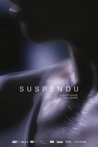 Suspendu (2015)
