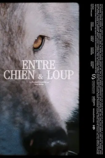 ENTRE CHIEN & LOUP (2025)