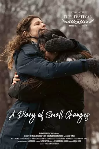 A Diary Of Small Changes (2022)