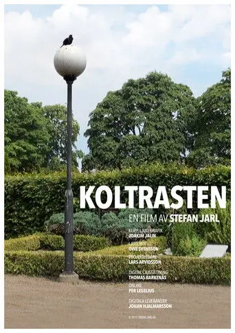 Koltrasten (2014)