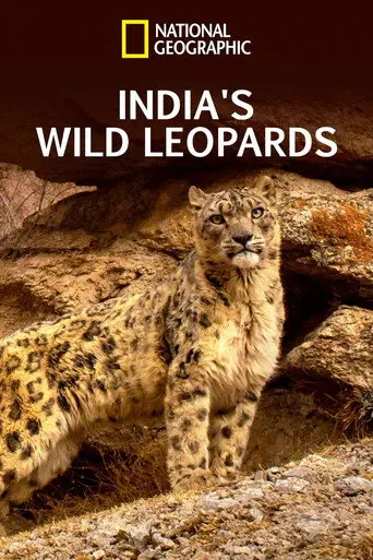 India's Wild Leopards (2020)