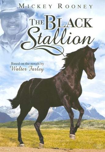 The New Adventures Of The Black Stallion (1990)