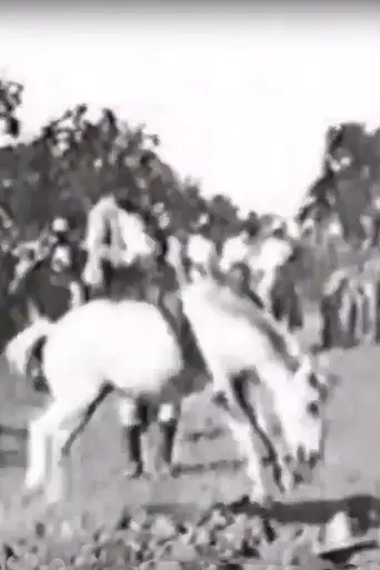 Cavalier sur un cheval rétif (1896)