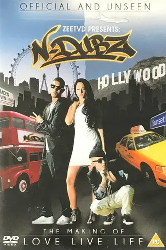 N-Dubz: The Making of Love, Live, Life (2011)