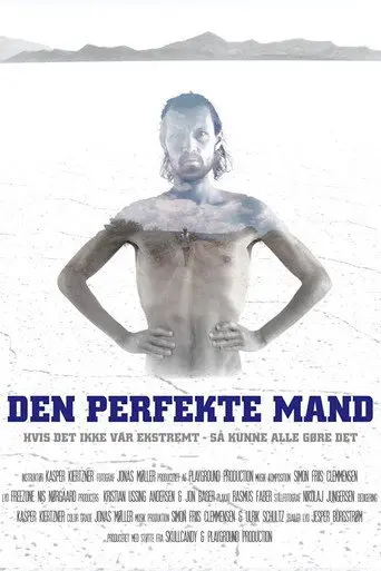 Den Perfekte Mand (2015)