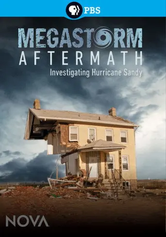 Megastorm Aftermath (2013)